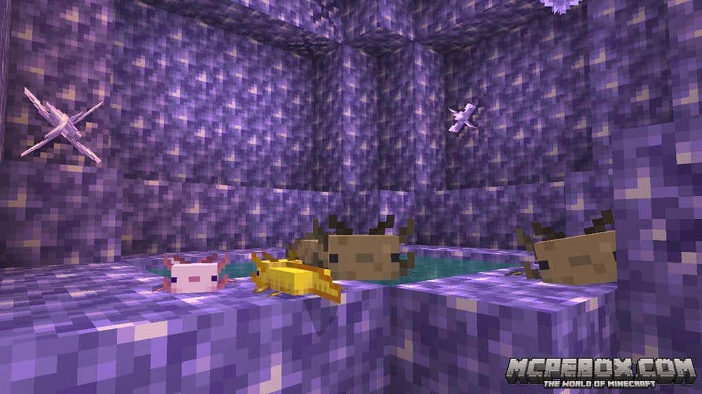 Download Minecraft PE 1.17.10.20 BETA for Android