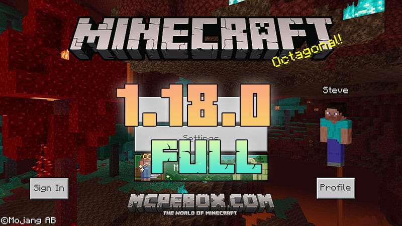 Minecraft java edition 1.18 download